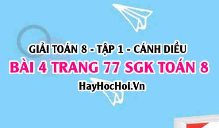 Giải bài 4 trang 77 Toán 8 Tập 1 SGK Cánh Diều